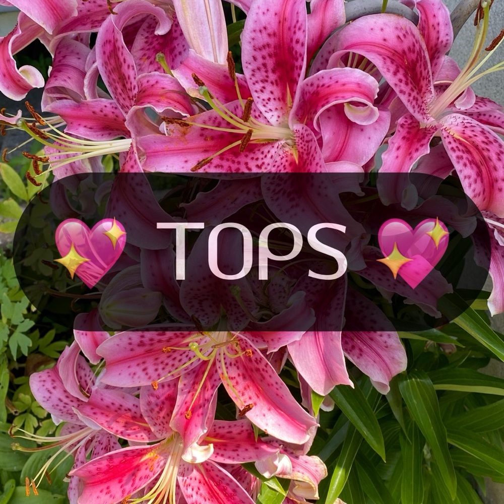 💖 Tops Category 💖